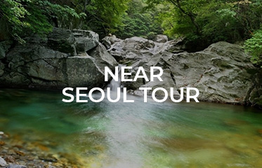Near Seoul Tour