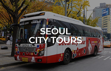 Seoul City Tour